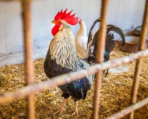 파이스테나우 Unterwoehrlehen 아파트 외부 사진